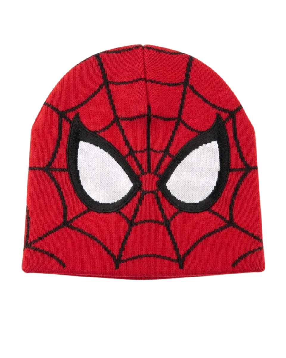 Spider Beanie