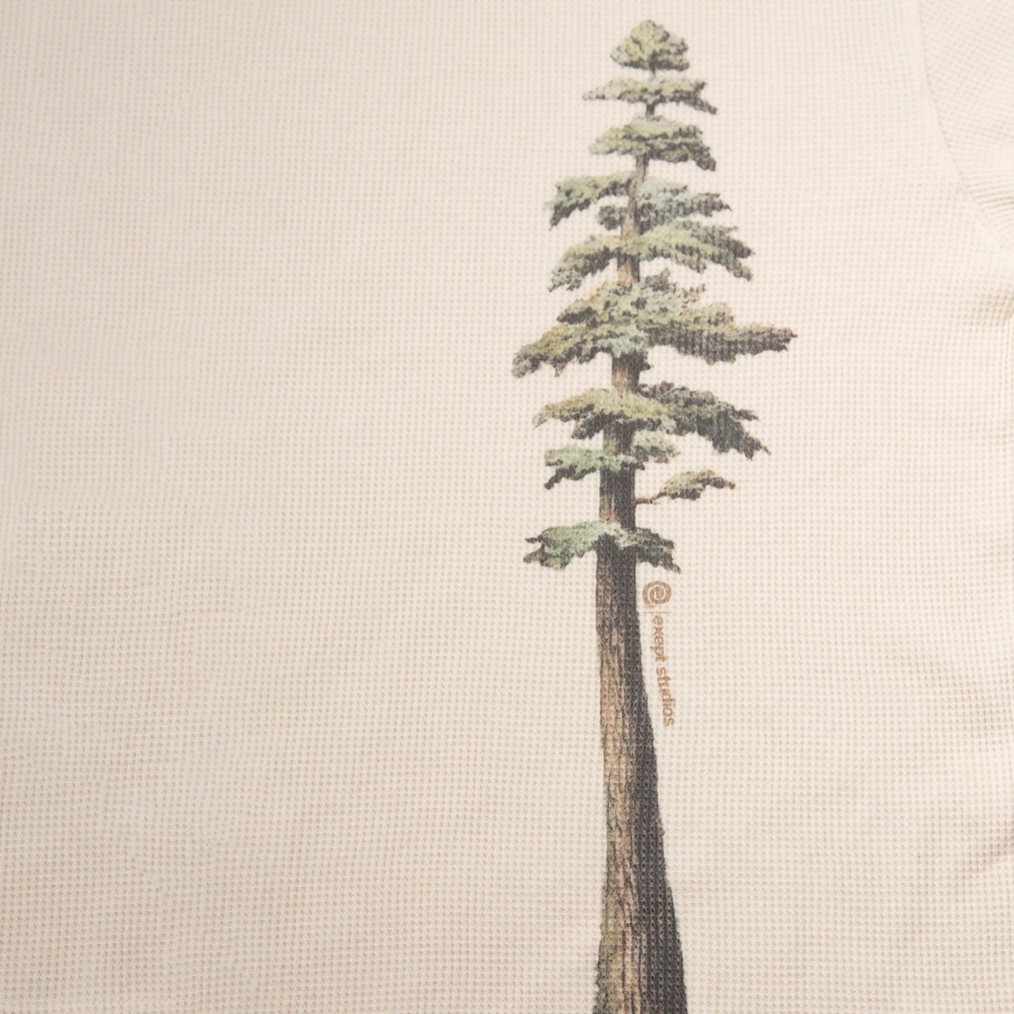 Pine Tree Long Sleeve
